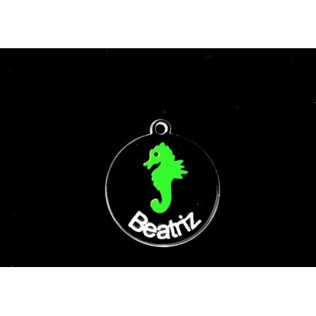 Pendente Acrílico Duplo "Cavalo Marinho" 30mm Personalizavel